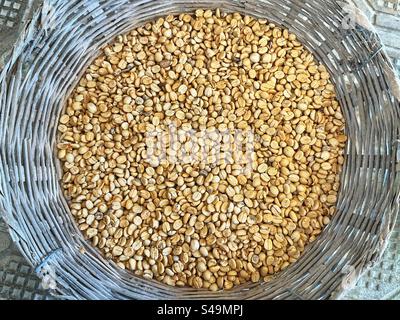 Cestello pieno di chicchi di caffè prima della tostatura. Niente persone. Foto Stock