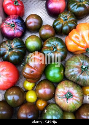 Alimentari, pomodori tradizionali assortiti di varie dimensioni, rossi, arancioni, verdi e gialli, esposti presso il supermercato Foto Stock