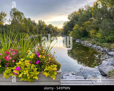 Colori autunnali, riflesso del fogliame degli alberi autunnali al Prince's Island Park, Calgary, Alberta, Canada. Foto Stock