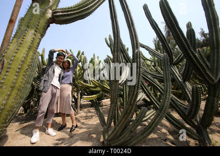 Xiamen, cinese della provincia del Fujian. 16 Mar, 2019. Visitatori posano per le foto con le piante succulente a Xiamen Giardino Botanico a Xiamen, a sud-est della Cina di provincia del Fujian, il 16 marzo 2019. Credito: Zeng Demeng/Xinhua/Alamy Live News Foto Stock