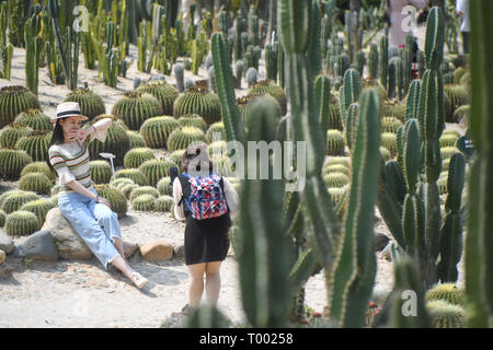 Xiamen, cinese della provincia del Fujian. 16 Mar, 2019. Un visitatore pone per le foto con le piante succulente a Xiamen Giardino Botanico a Xiamen, a sud-est della Cina di provincia del Fujian, il 16 marzo 2019. Credito: canzone Weiwei/Xinhua/Alamy Live News Foto Stock