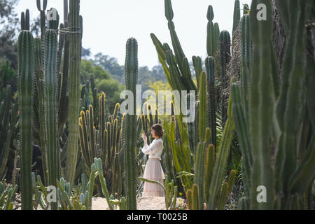 Xiamen, cinese della provincia del Fujian. 16 Mar, 2019. Un visitatore prende le foto a piante succulente settore di Xiamen Giardino Botanico a Xiamen, a sud-est della Cina di provincia del Fujian, il 16 marzo 2019. Credito: canzone Weiwei/Xinhua/Alamy Live News Foto Stock