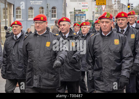 L'Irlanda. 16 marzo 2019. Athlone base dell'esercito irlandese veterinari a marzo in Athlone il giorno di San Patrizio Parade 2019. Credito: Eoin Healy/Alamy Live News Foto Stock