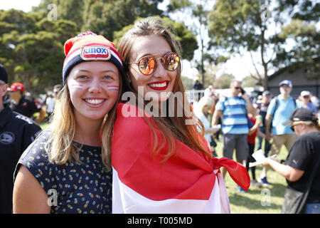 Melbourne, Australia. 16 Mar, 2019. Motorsports: FIA Formula One World Championship 2019, il Gran Premio d'Australia, ventole | Utilizzo di credito in tutto il mondo: dpa/Alamy Live News Foto Stock