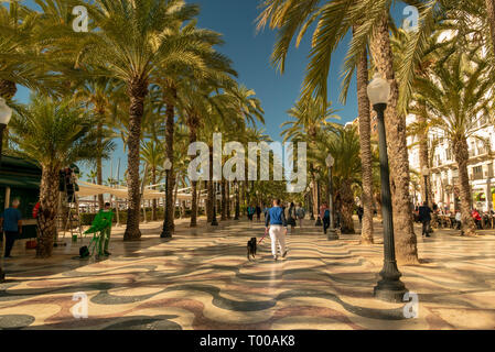 Pedoni nel trafficato esplanade di Spagna, in Alicante. Giornata di sole Foto Stock