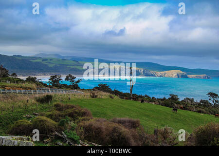 Firenze Hill Lookout all'Catlins, Isola del Sud, Nuova Zelanda Foto Stock