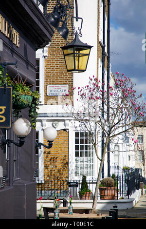 LONDON, Regno Unito - Marzo 11th, 2019: Notting Hill area di Londra centrale è piena di case colorate e una splendida architettura Foto Stock