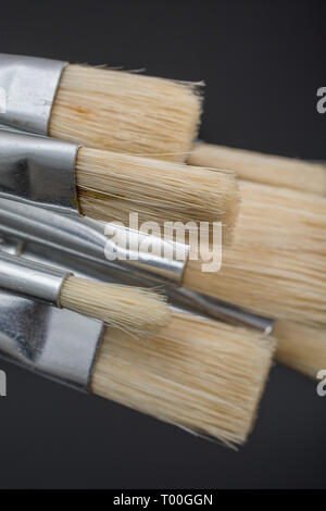 Macro primo piano di un pacchetto di pennelli/pennelli per pittura di artisti con setole naturali pulite su uno sfondo scuro riflettente. Foto Stock