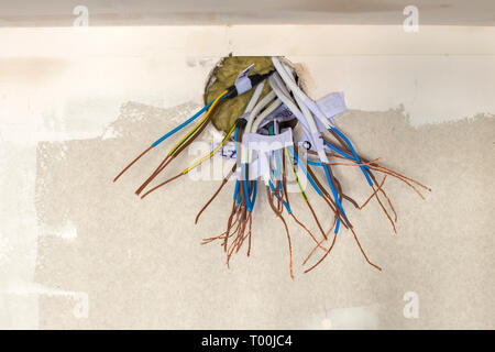 Esposti elettrici collegati fili sporgenti dalla presa sul muro bianco. Cablaggio elettrico dell'installazione. Opere di finitura in appartamento ristrutturato. Foto Stock