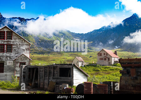 Fiori e montagne oltre l'Alaska Range Foto Stock