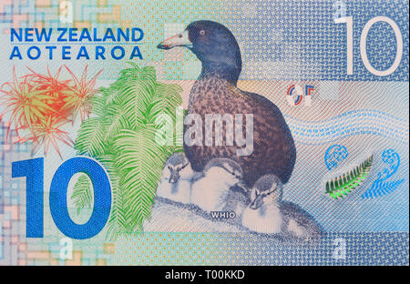 Nuova Zelanda 10 dollar carta moneta nota, Auckland, Nuova Zelanda Foto Stock