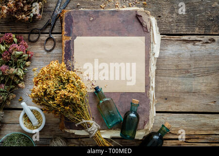 Vecchio libro vintage, tintura bottiglie, assortimento di mazzi di fiori secchi di erbe medicinali, Malta. La medicina di erbe. Vista dall'alto. Foto Stock