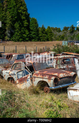 Motori Horopito, noto anche come 'Smash Palace' nell'Isola del nord della Nuova Zelanda ha centinaia di auto classiche in vendita. Si tratta di una festa visiva. Foto Stock