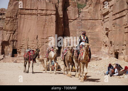 La gente del posto a cavallo di cammelli nel Wadi Rum desert Foto Stock