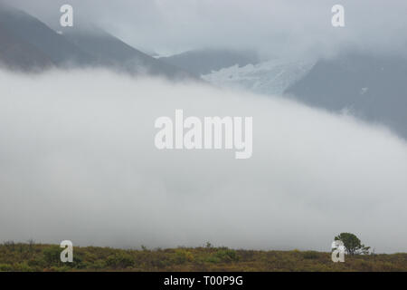 Lone Tree nelle nuvole, Haines Road, Northern British Columbia, Canada Foto Stock