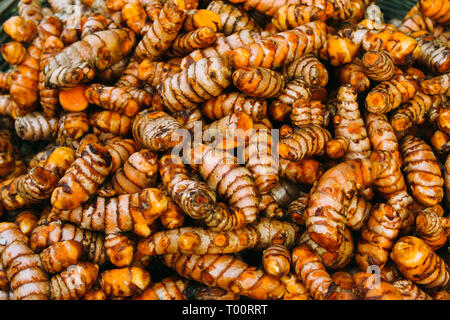 La curcuma fresca per la vendita nel mercato, close-up Foto Stock