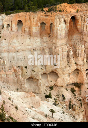 Una parete di finestre, Bryce Canyon dello Utah, Stati Uniti d'America Foto Stock