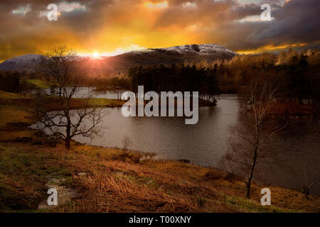 Tarn Hows Foto Stock