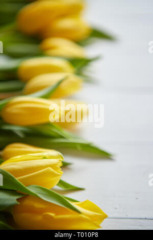 Composizione di tulipani freschi messi in fila su bianco tavola in legno rustico Foto Stock