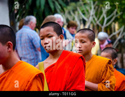 I monaci buddisti in arancione vesti coda per mattina alms dando cerimonia, Luang Prabang, Laos Foto Stock