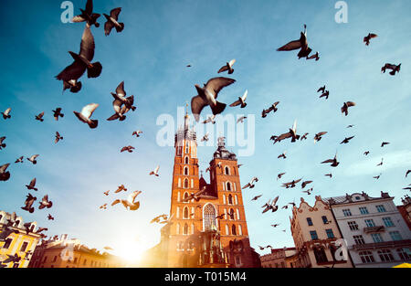 Santa Maria la basilica nella piazza principale di Cracovia con battenti piccioni Foto Stock