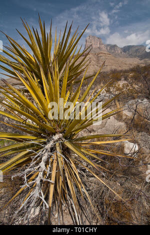 Guadalupe Pass, Culberson County, Texas, Stati Uniti d'America Foto Stock