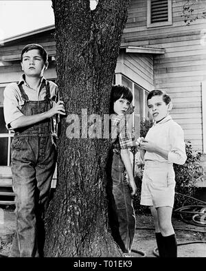 PHILLIP ALFORD, MARY BADHAM, John MEGNA, PER UCCIDERE UN MOCKINGBIRD, 1962 Foto Stock