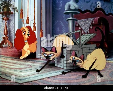 LADY, SI, sono i gatti siamesi, Signora e il barbone, 1955 Foto Stock