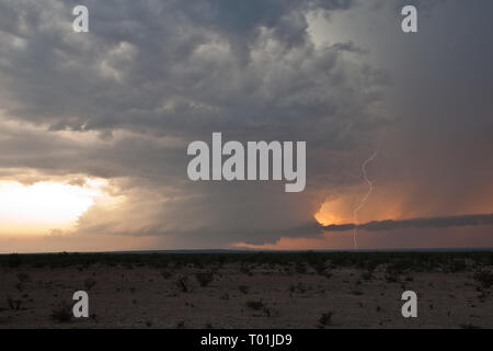 , Pecos County, Texas, USA Foto Stock