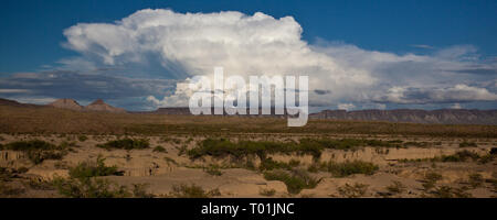 Chispa Road, Presidio County, Texas, Stati Uniti d'America Foto Stock