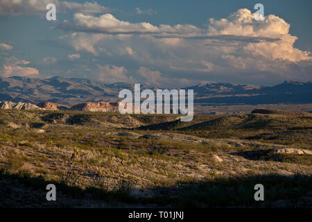 Chispa Road, Presidio County, Texas, Stati Uniti d'America Foto Stock