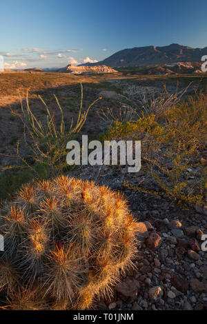 Chispa Road, Presidio County, Texas, Stati Uniti d'America Foto Stock