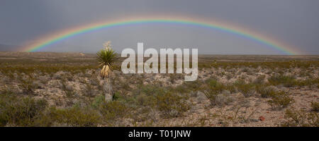 Chispa Road, Presidio County, Texas, Stati Uniti d'America Foto Stock