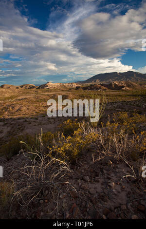 , Presidio County, Texas, Stati Uniti d'America Foto Stock