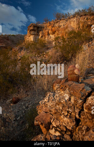 , Presidio County, Texas, Stati Uniti d'America Foto Stock