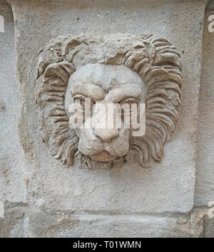 Testa di leone su una parete di un edificio a Lviv Foto Stock