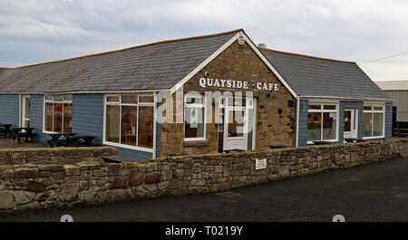 Il Quayside Cafe Camminate Camminate è una piccola cittadina sulla costa nord est di Northumberland in Inghilterra del Nord Est. Cw 6660 Foto Stock