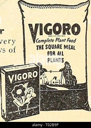 Dreer giardino del libro per il 1944 : sei gustose verdure per ogni giardino . dreersgardenbook1944henr Anno: 1944 concimi per prato e giardino il cliente paga le tasse di trasporto sui concimi il tasso di applicazione sotto ogni prodotto è media. Nel caso di fer- tilizers il)" può essere diminuita o in- piegato entro certi limiti a seconda delle condizioni. Applicazioni eccessivo di fertilizzanti non solo sono dannosi ma può infatti causare danni. Michigan torba e muschio di torba invece può essere utilizzato da 4 a S cm di profondità per spading nel suolo. Adco. L'aggiunta di Adco al com- p Foto Stock