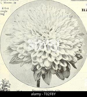 Dreer's garden calendario : 1903 . dreersgardencale1903henr Anno: 1903 Foto Stock