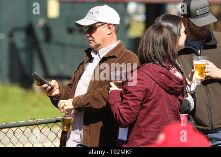 Hot Springs, Arkansas, Stati Uniti d'America. 16 Mar, 2019. Marzo 16, 2019: paesaggi durante il ribelle Stakes giorno a Oaklawn Park in Hot Springs, Arkansas. © Justin Manning/Eclipse Sportswire/CSM/Alamy Live News Foto Stock