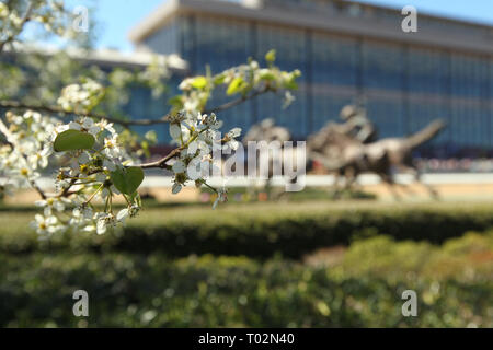 Hot Springs, Arkansas, Stati Uniti d'America. 16 Mar, 2019. Marzo 16, 2019: paesaggi durante il ribelle Stakes giorno a Oaklawn Park in Hot Springs, Arkansas. © Justin Manning/Eclipse Sportswire/CSM/Alamy Live News Foto Stock