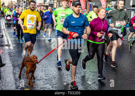 Belfast, Irlanda del Nord, Regno Unito. Il 17 marzo 2019. Quasi 2000 podisti di tutte le età e le forme e dimensioni hanno preso parte nel 2019 Spar Craic 10K eseguire a Belfast. La gara è iniziata a City Hall avvolgimento intorno a Falls Road e la finitura a Ormeau Park, Credito: Bonzo Alamy/Live News Foto Stock