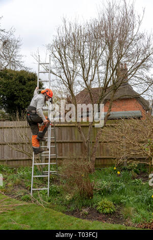 Micheldever, Winchester, Hampshire, Inghilterra, Regno Unito. Marzo 2019. Tree chirurgo scendendo da un albero. Foto Stock