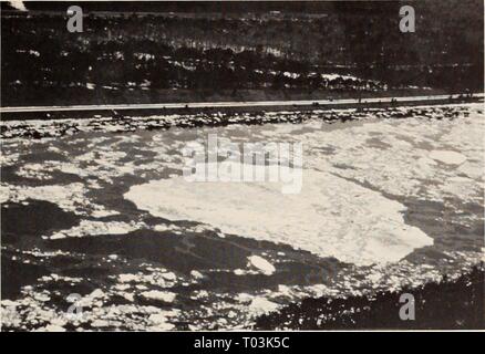 La parte orientale del Mare di Bering ripiano : oceanografia e risorse / a cura di Donald W. cofano e John A. Calder . easternberings00cofano Anno: 1981 olio anticipato di interazioni di ghiaccio^ 225 Figura 14-4. Vista aerea del oliato glaçon nel canale di Cape Cod, 17 febbraio. L'autostrada accanto al canale dà scala (da Figura 2.11, Deslauriers et al. 1977). Mi olio nel grasso grasso di ghiaccio ghiaccio è un impasto di smadl cristalli di ghiaccio e mare- acqua che cresce in mari marginali. Martin et al. (1978) dare una discussione preliminare di come questo ghiaccio cresce e Martin e Kauffman (1980) discutere esaurientemente le sue generali pr Foto Stock