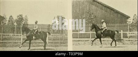 Du Cheval mÃ" et bien mis : suite de causeries Ãcrites au fil de la pratique . duchevalmetbie00caub Anno: 1906 l'I. XVI. rnSoBrÃ tsci Tig. 3y. F/V. 3&lt;S'. Foto Stock