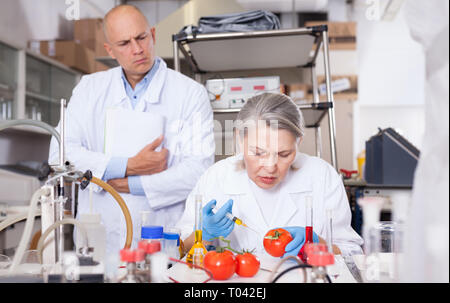 Due genetica professionale gli scienziati che lavorano in laboratorio, iniettare additivi in pomodori durante gli esperimenti con organismi geneticamente modificati di verdure Foto Stock