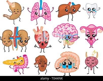 Insieme di organi. Carino umano felice, sorridenti personaggi. Perni di vettore, cartoon kawaii icone. Cuore sano, l'intestino, il pancreas, cervello, stomaco, fegato Illustrazione Vettoriale