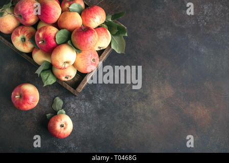 Le mele rosse nella scatola di legno. Organici di mele rosse con foglie su sfondo rustico, copia dello spazio. Foto Stock