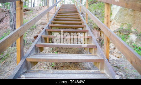 Una scala in legno all'interno della zona forestale in Piusa le scale di legno che aiuta gli escursionisti per andare dalla foresta Foto Stock