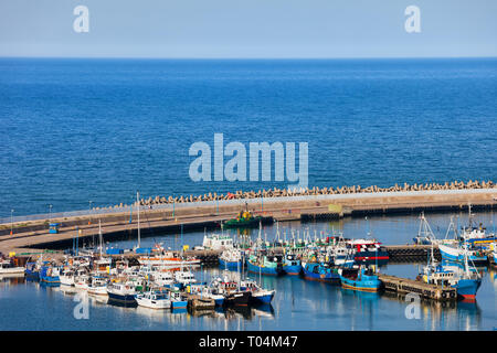 Porto di pesca nella città Wladyslawowo presso il Mar Baltico in Polonia, vista aerea. Foto Stock